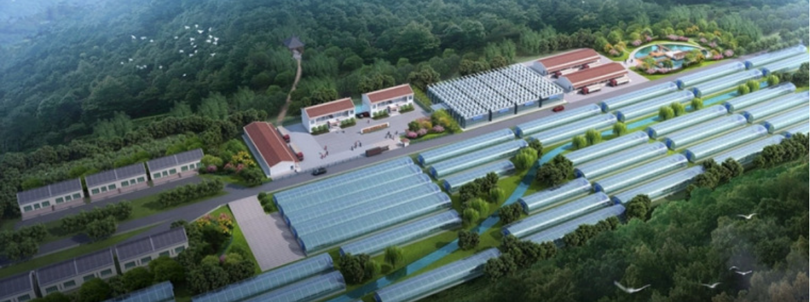 智慧农业大棚解决方案(图1)