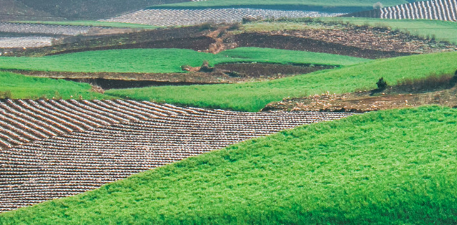 智慧农业大棚解决方案(图8)